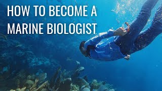 How to Become a Marine Biologist step by step  Marine Biology Careers amp Marine Research [upl. by Rella]