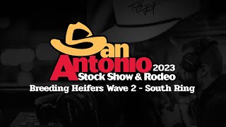 San Antonio Livestock Show 2023  Breeding Heifers Wave 2  South [upl. by Vince]