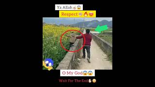 MashAllah ☝️😇 Respect 😍 allah shorts status short respect masmediainfo [upl. by Lienad]