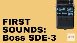 First Sounds from Boss SDE3 Dual Digital Delay  NO TALKING stereo npd [upl. by Aikym361]