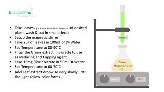 Synthesis of Silver Nanoparticles by Leaf Extract  InstaNANO [upl. by Hcir901]