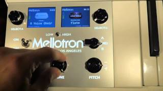 Mellotron 4000D Mini First Look [upl. by Oner]