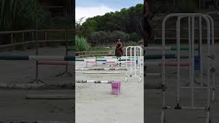 EQUITATION Ligne sauts de puce equitation cheval jumping [upl. by Ecnerrot15]