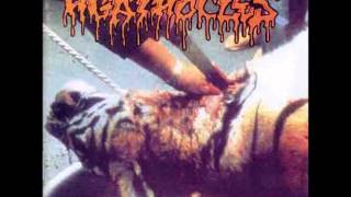 Agathocles  Labelisation [upl. by Grevera]