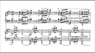 Franz Liszt  Concerto pathétique S 258 VIDEO REQUEST [upl. by Sigfrid483]