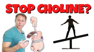 Who Should and Should NOT Use Choline [upl. by Roberta635]