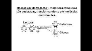 METABOLISMO ENERGÉTICO 2 CITOLOGIA  Angelo Vieira [upl. by Eeb277]