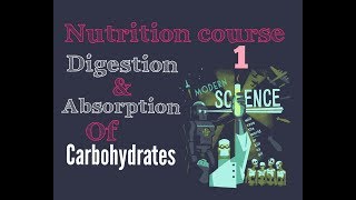 Biochemistry Nutrition course lecture  1   carbohydrates digestion  absorption [upl. by Jelsma]