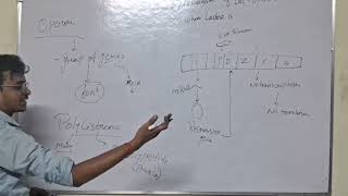 lac operon 🥹concept by MBBS student😱😍 lacoperon biology ncert neet zoology [upl. by Swope788]