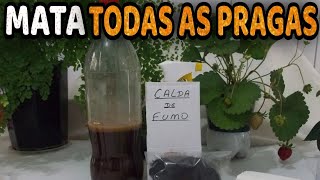 Tudo Sobre a Calda de Fumo para Lagartas Pulgões e Cochonilhas [upl. by Anaitsirc]