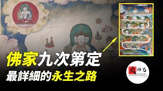 佛家禪點之九次第定，一步一步教你，最詳細的永生方法！seeker大師兄 [upl. by Ceevah727]