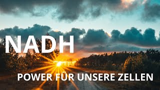 NADH  Power für unsere Zellen [upl. by Ayel826]