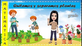 Quitamos y separamos plantas [upl. by Anerahs945]