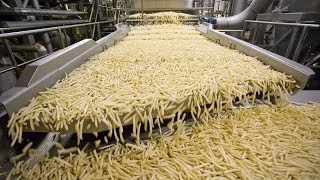 World Amazing Automatic French Fries Production Line Modern Food Processing Technology [upl. by Hardunn832]