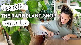 The Rare Plant Shop HAUL 🌿 Houseplant Rescue Box Unboxing of Rare Plants 😆 [upl. by Emrich]