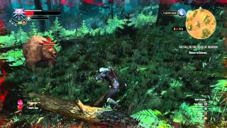 The Witcher 3 Wild Hunt quest THE FALL OF THE HOUSE REARDON [upl. by Edras]