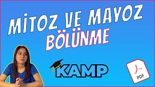 MİTOZ BÖLÜNME VE MAYOZ BÖLÜNME FULL TEKRAR TYT 2025 [upl. by Firmin]