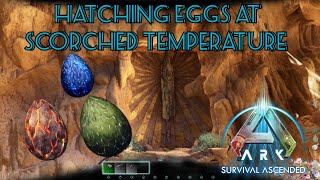 How to incubate and hatch eggs at scorched earth temperature in ark survival ascended ark [upl. by Gokey349]