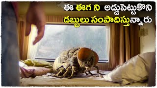 Mandibles movie explained in Telugu  Cheppandra Babu [upl. by Atinaujnas]