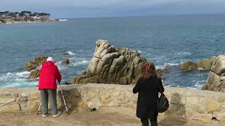 Парк  Пасифик Гроув — прибрежный город Калифорния Park in Pacific Grove California [upl. by Claybourne]