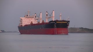 Scheepvaart in Rotterdam  Shipspotting  Hoek van Holland  Nieuwe Waterweg [upl. by Wanids]