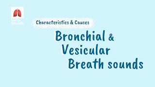 Breath Sounds  Vesicular vs Bronchial [upl. by Waxman720]