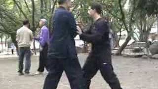 Master Wang Chieh Push Hands Practice Taiwan [upl. by Aluor385]