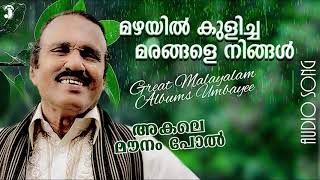 മഴയിൽ കുളിച്ച മരങ്ങളെ നിങ്ങൾ  Great Malayalam Album by Umbayee  Audio Song [upl. by Siouxie]