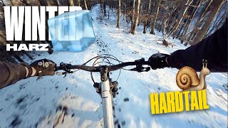 Harz MTB 🟢  Winter Singletrail und Hardtail  Orbea Laufey  Januar 2024 [upl. by Lalat]