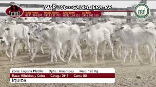 INSP 106  GANADERA RP [upl. by Ericka]