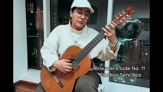 Parasto Abdollahi plays Leo Brouwer’s 11Estudios sencillos [upl. by Annaek908]