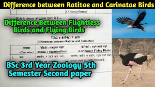 Difference Between Ratitae and Carinatae Birds  BSc 3rd year Zoology 5th Semester Second paper [upl. by Yrrag]