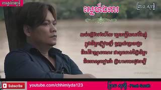 ស្នេហ៍ឯការ​  ព្រាប សុវត្តិ Lyric Video [upl. by Jere]