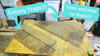 Muskrat Colony Traps  Uses and Making  In The Fur Shed [upl. by Akinert]