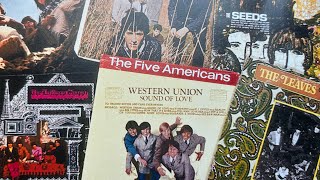 10 Cool Proto Punk Albums From The 1960’s [upl. by Aretse201]