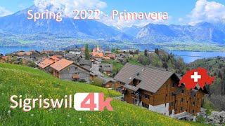 SWITZERLAND  SIGRISWIL  PART 6  INTERLAKEN in Spring Walking Tour beautiful villages SUIZA  4k [upl. by Travis326]