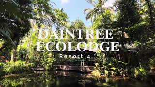 DAINTREE ECOLODGE [upl. by Nanoc136]