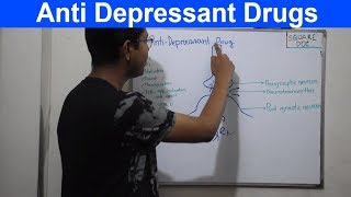 Anti Depressant Drugs  TCA  SSRI SNRI  Mechanism of Action  Bangla  Square DOC [upl. by Chrisman]