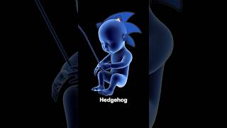 Sonic the Hedgehog is INSIDE YOU [upl. by Esidnac]