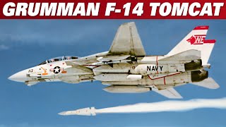 Grumman F14 Tomcat  A Brief History Of The Iconic Aircraft  Upscaled [upl. by Hearsh415]