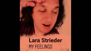 Lara Strieder  My Feelings Visualizer [upl. by Akeemaj]