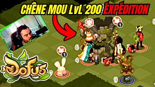 Comment gagné le chêne mou expédition sur Dofus [upl. by Mareld]