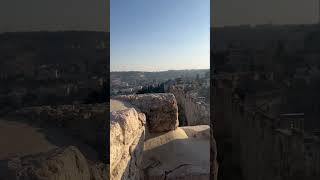 How stunningly beautiful is the Mount of Olives in Jerusalem israel jerusalemtemple biblicalplace [upl. by Sallee42]