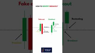 STOCK MARKET  TRADING INVESTING  FOREX  CRYPTO  TRADEMAX ACADEMY [upl. by Anyel182]