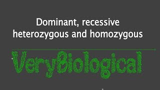 dominant recessive heterozygous and homozygous English [upl. by Loos]