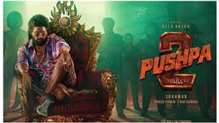 Pushpa 2 full movie in Hindi dubbed 2024  Allu Arjun [upl. by Madonna858]