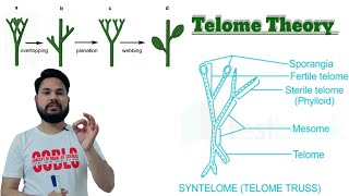 Telome Theory  what is Telome Theory टेलोम सिद्धांत क्या हैं  BY SKDIGRAWAL telometheory [upl. by Karr725]