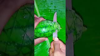 Watermelon 🍉cutting skillsshorts fruit watermelone viralvideo dikfood2774 [upl. by Chlori505]