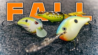 Where Do Bass Go During The Fall Transition And How To Catch Them [upl. by Htabmas522]