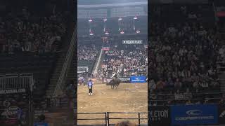 PBR Canada National Finals Buck Back to Edmonton Alberta and Rogers Place Nov 89 2024 [upl. by Ulyram]